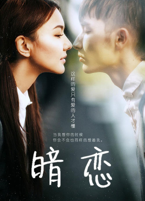 山东大学学位证书证明